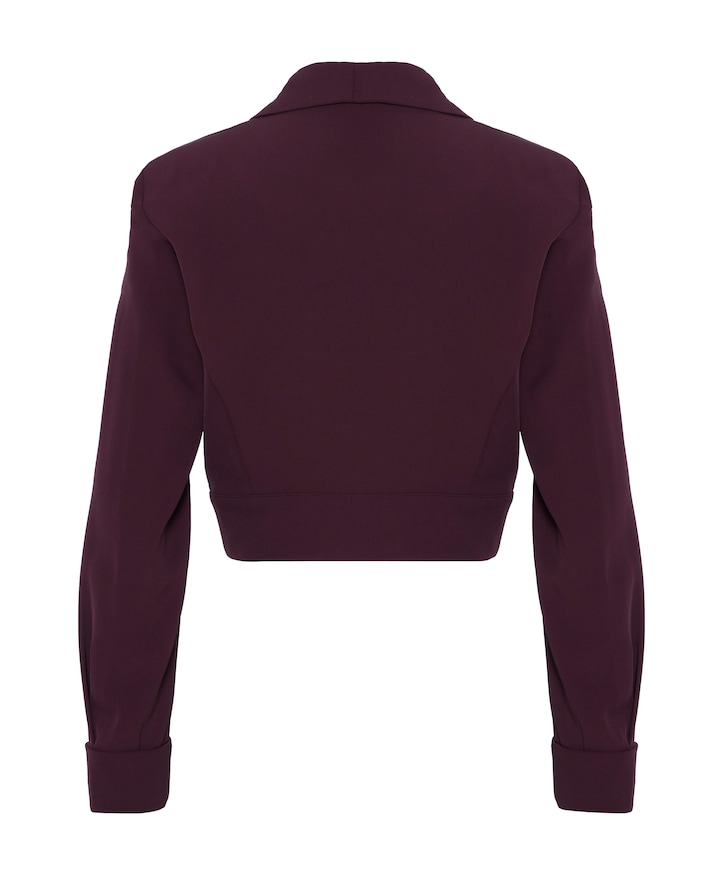Dames blazer bordeaux