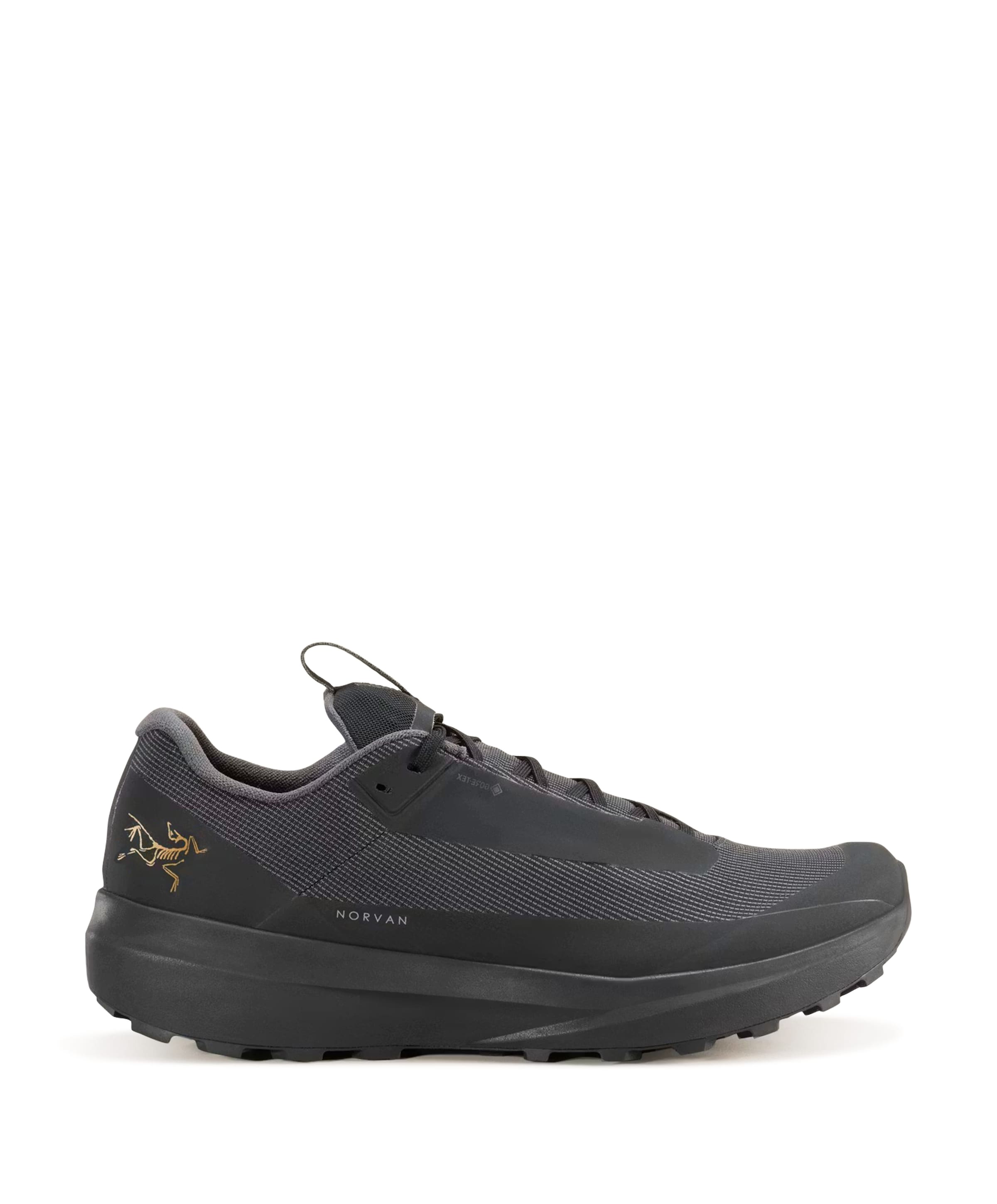 NORVAN LD 4 GTX MEN heren wandelschoenen zwart