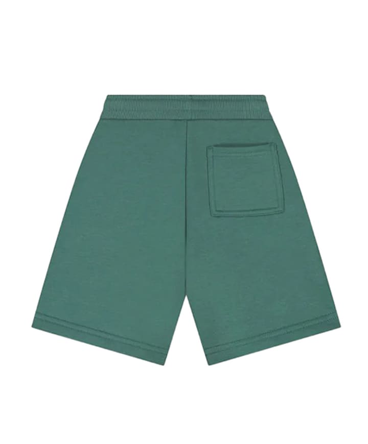 Fraternite shorts jongens korte broek groen