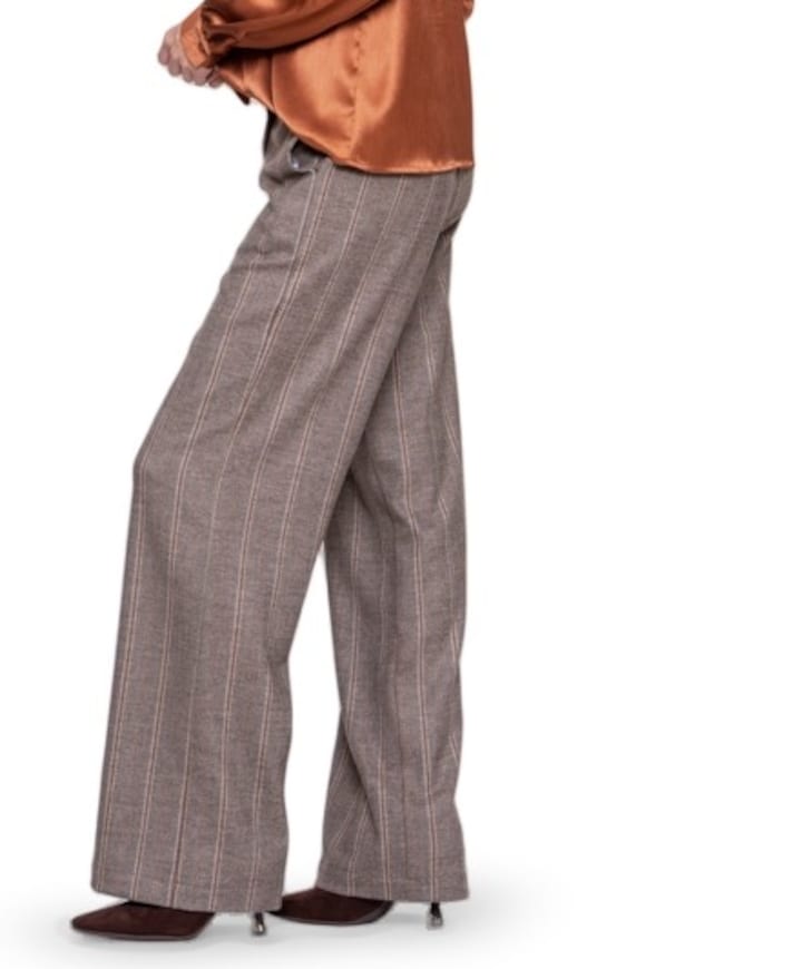 Dames broek bruin