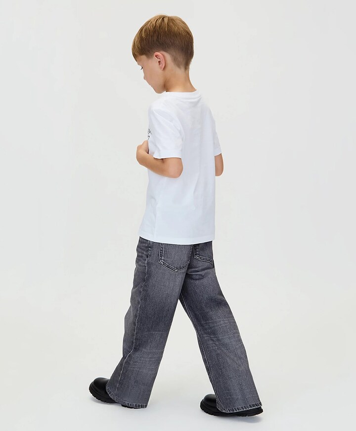 SKATER MID GREY STONE jeans grijs