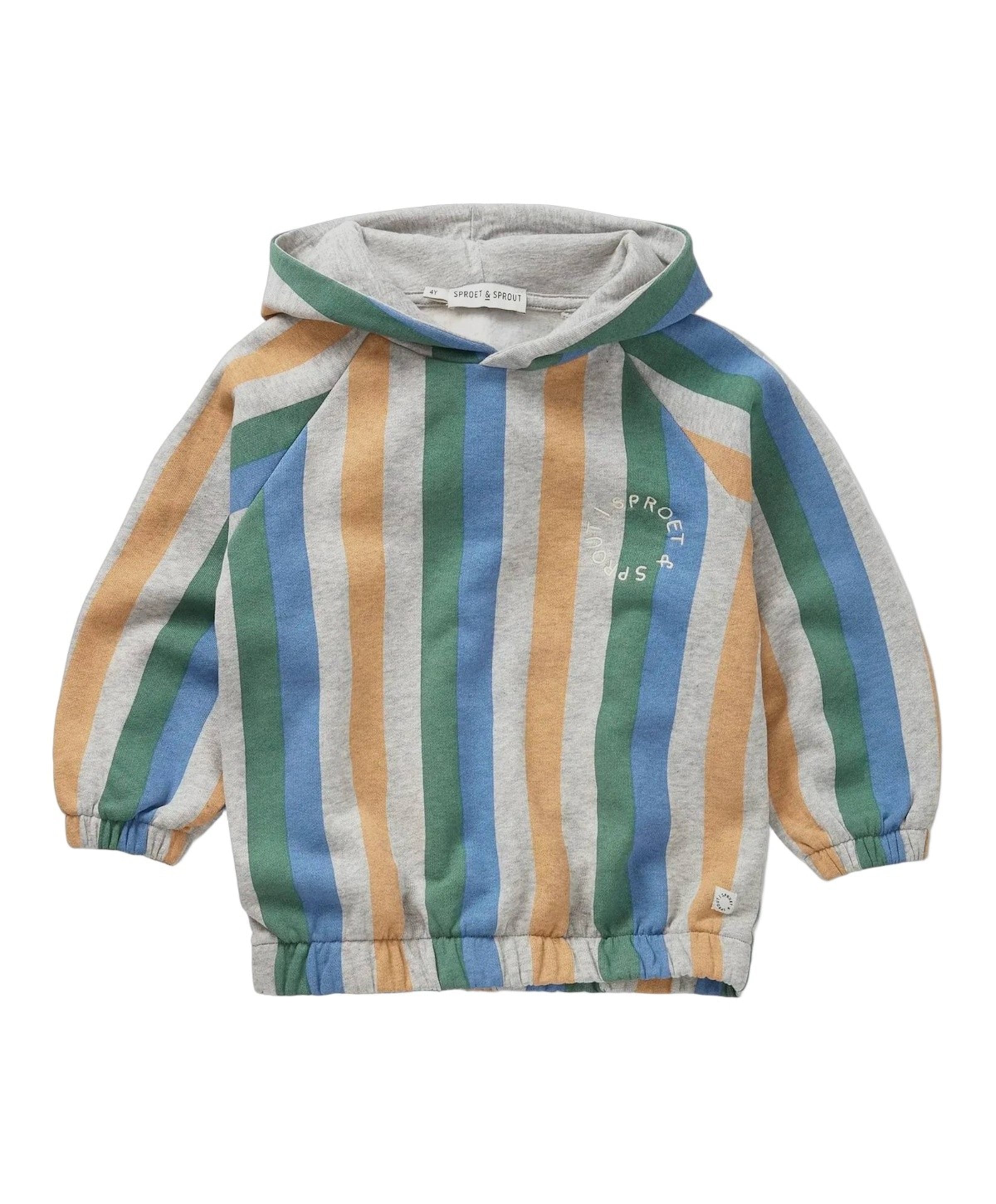 Jongens hoodie multicolor