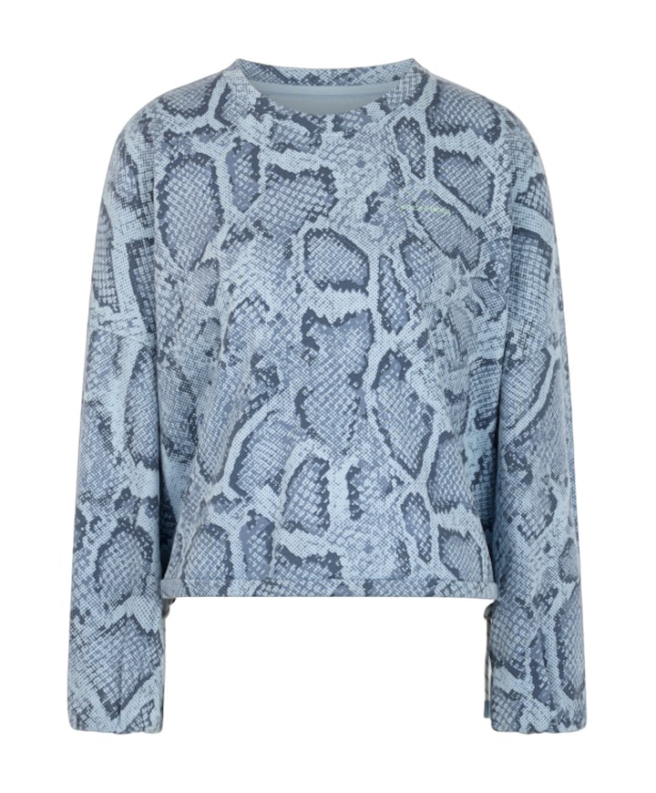Dames sweater grijs
