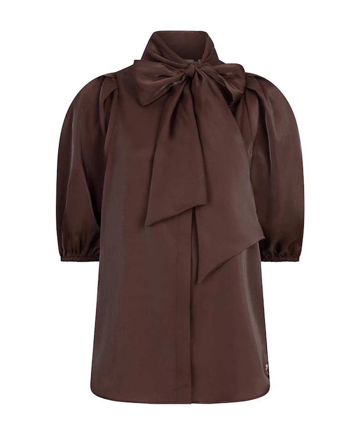 Dames blouse bruin