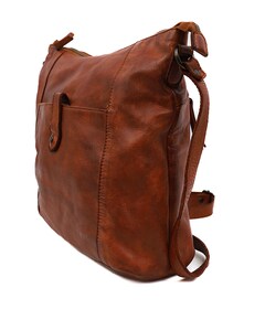 Tas bruin