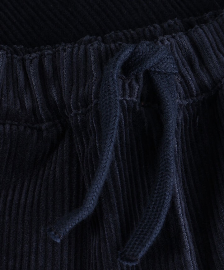 Pants Corduroy jongens broek blauw