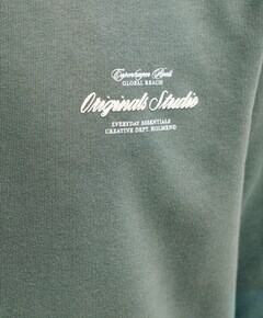 Jongens hoodie groen