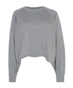 Dames sweater grijs