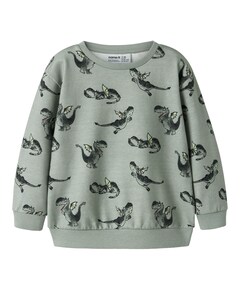 Jongens sweater groen
