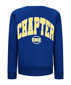 Jongens sweater blauw