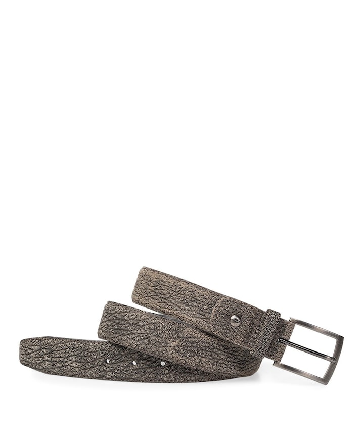 Heren schoenen diversen grijs