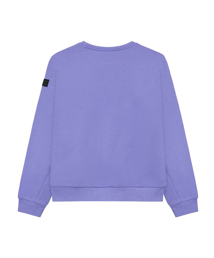 Jongens sweater paars