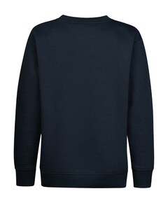 Jongens sweater blauw