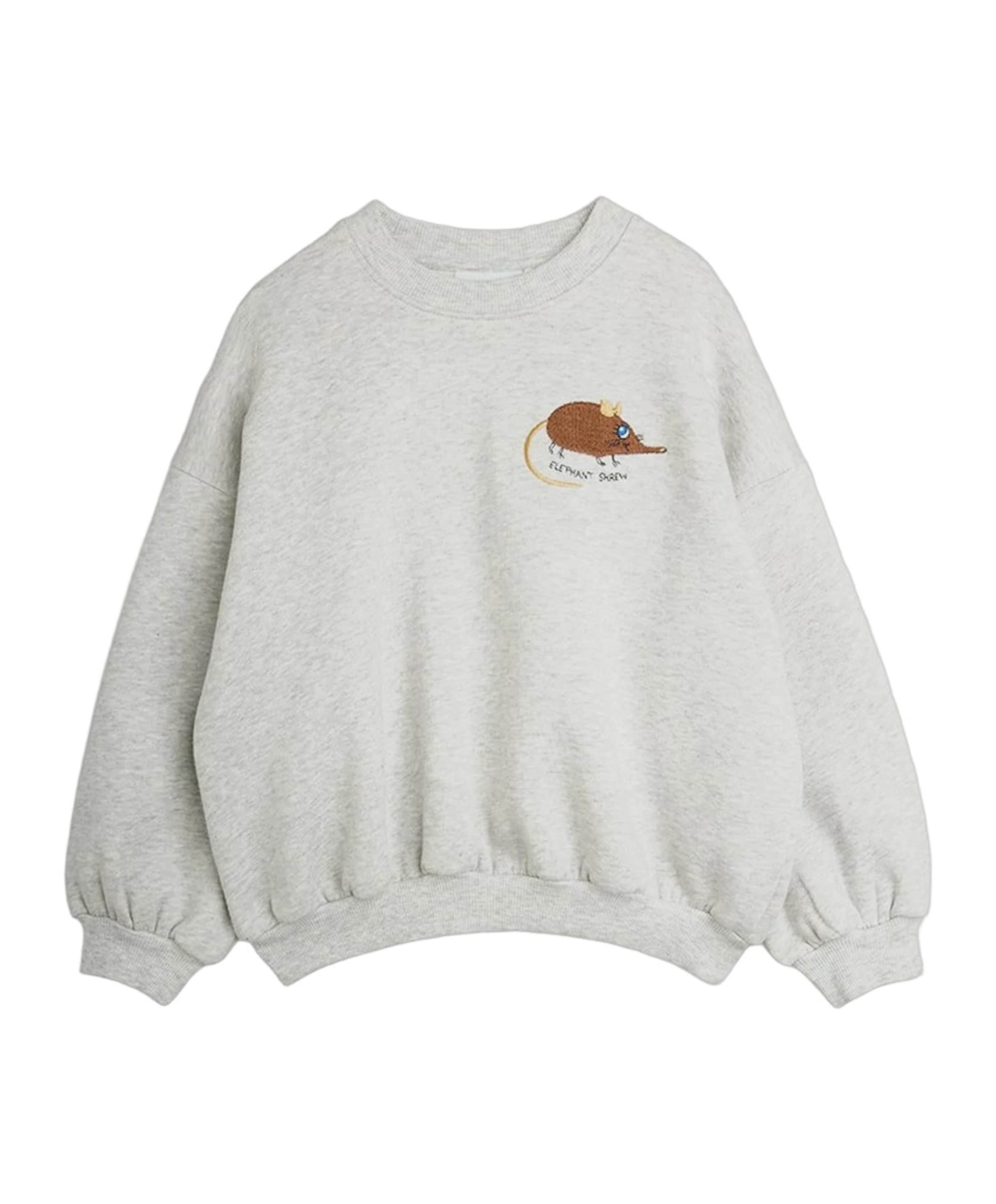 Jongens sweater grijs