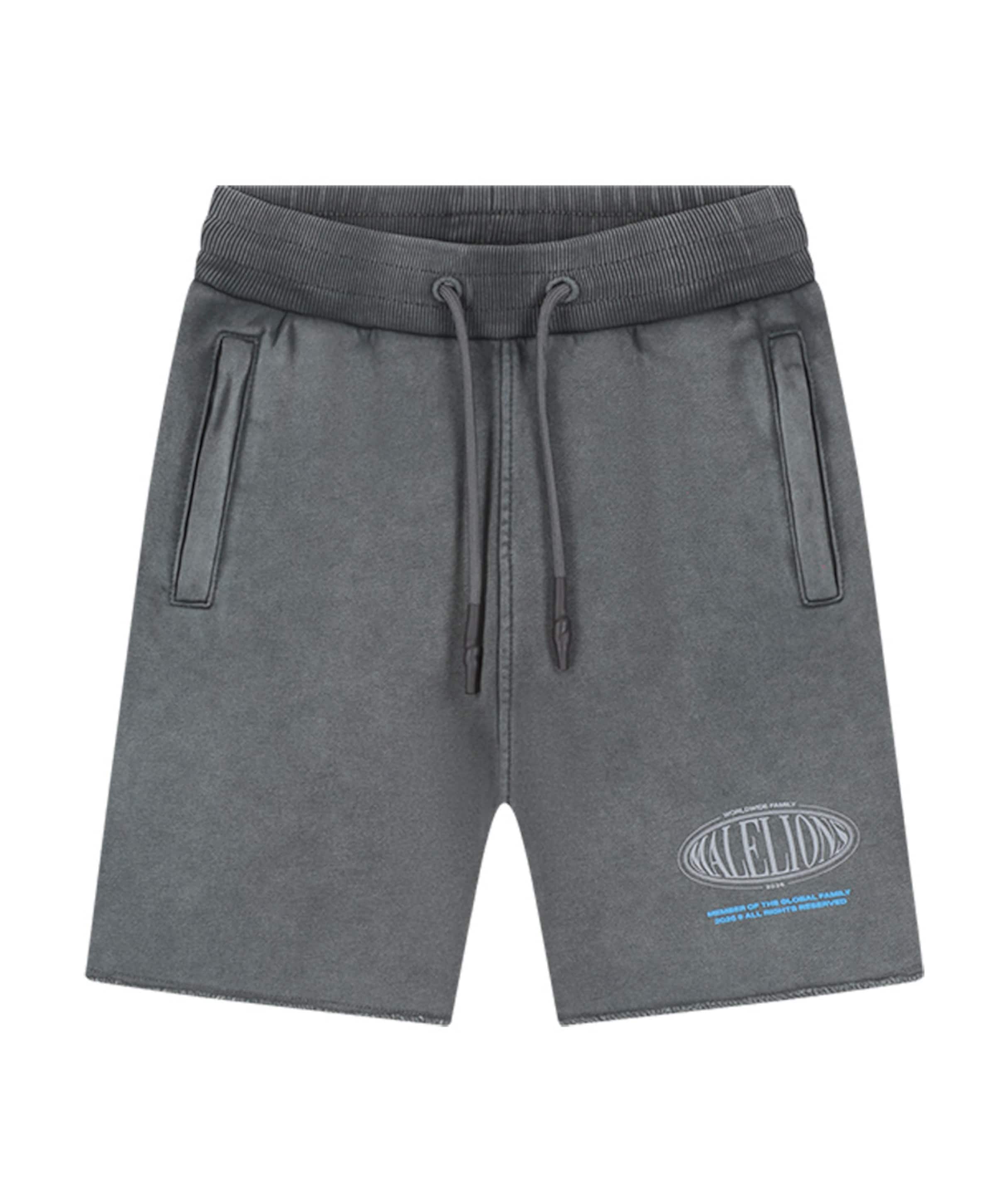 Lifestyle Damaged Hem jongens korte broek grijs