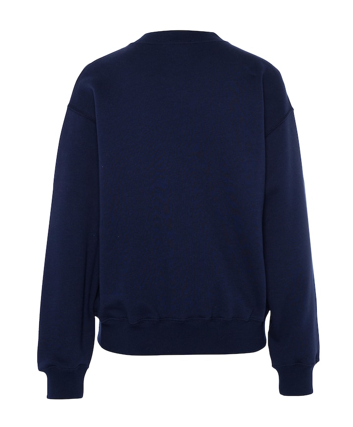 Dames sweater blauw
