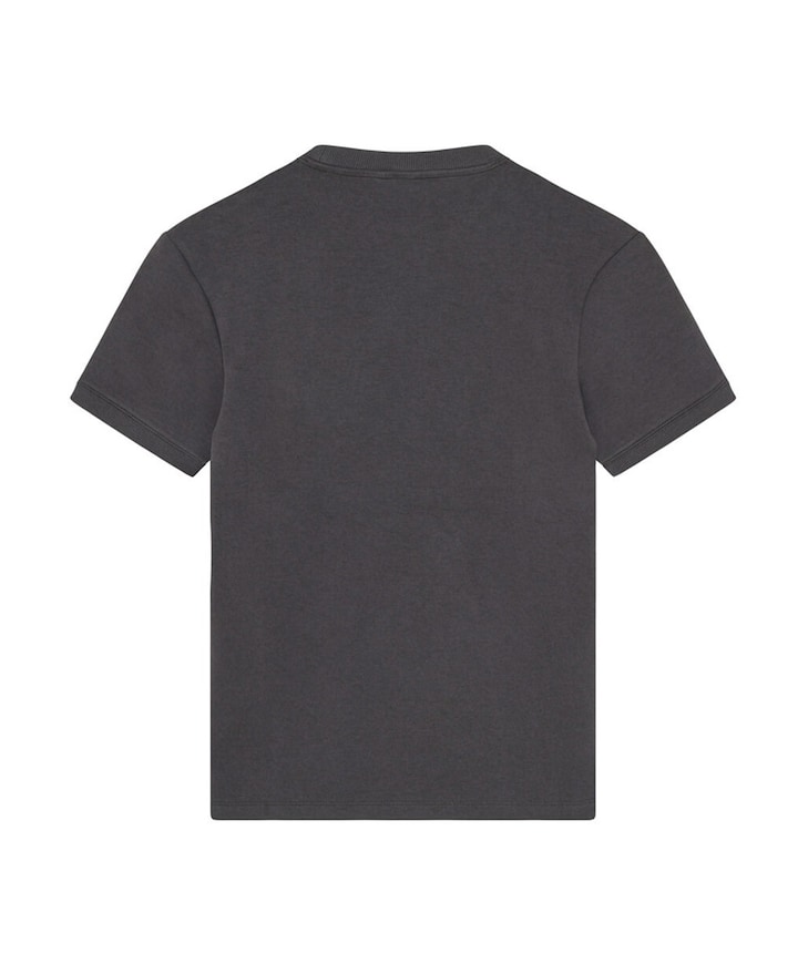 Jongens T-shirt grijs