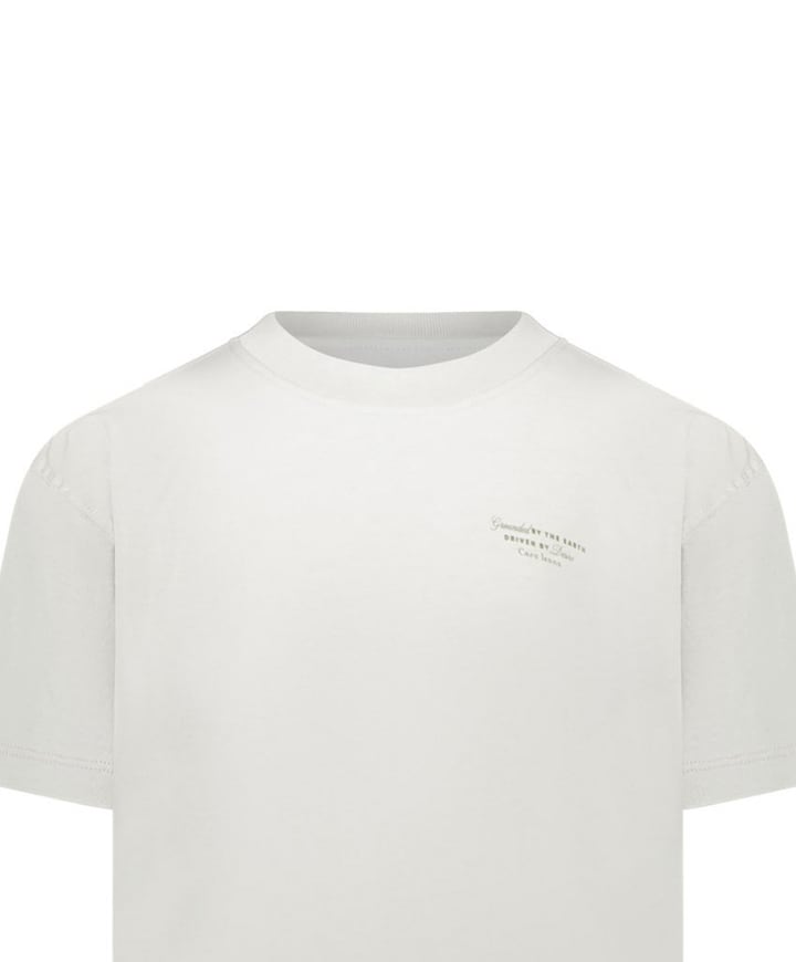 Jongens T-shirt grijs