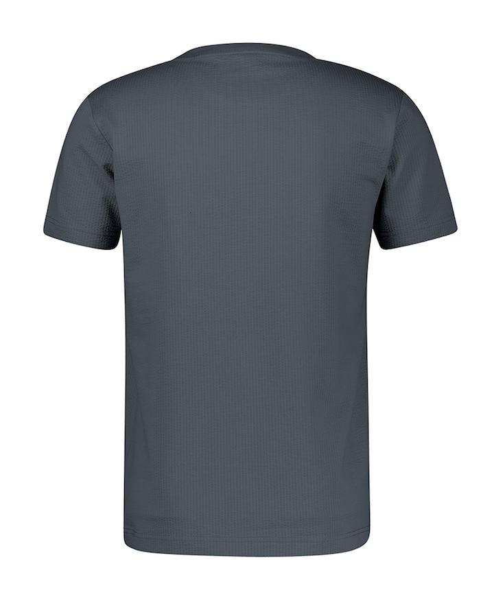Heren T-shirt grijs