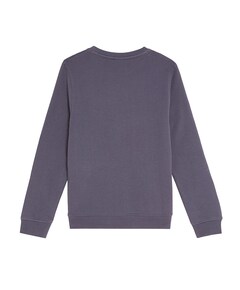 Sweater grijs