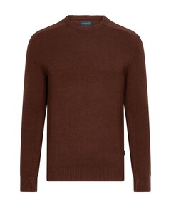 Heren trui bordeaux