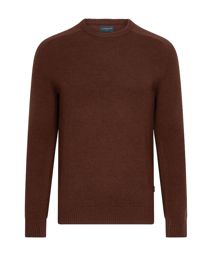 Heren trui bordeaux