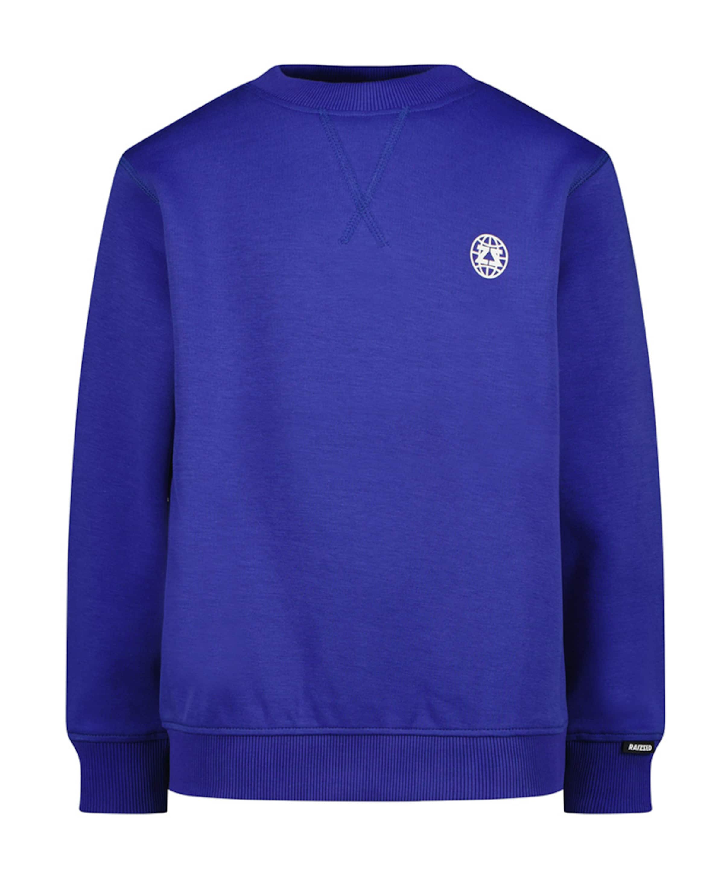 Jongens sweater blauw