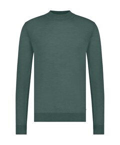 Heren trui groen