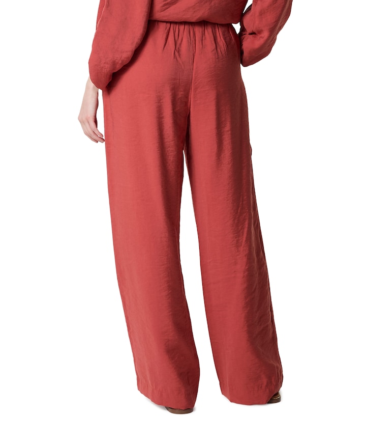 43a02-03384A dames broek brique