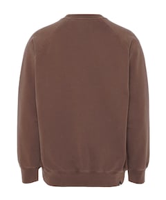 Heren sweater bruin