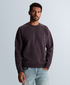 Heren trui blauw