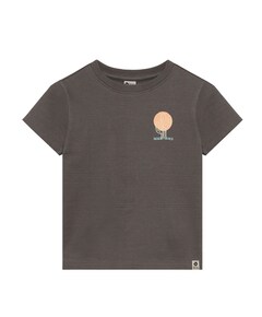 Jongens T-shirt grijs