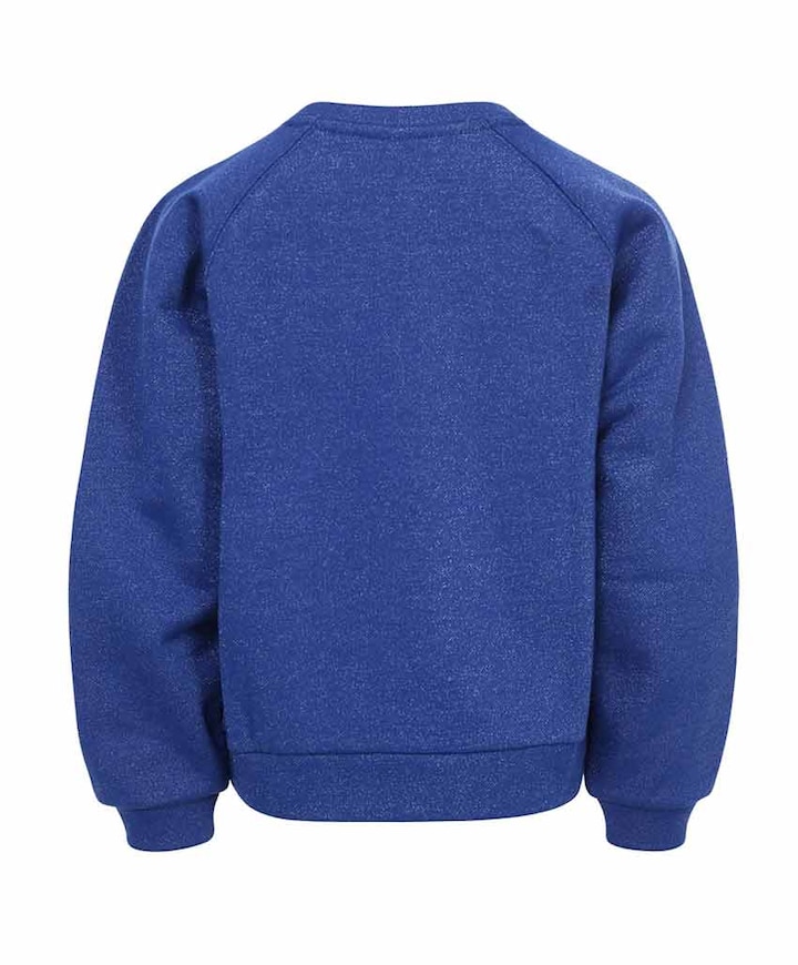 Meisjes sweater blauw