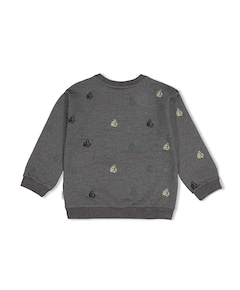 Jongens sweater grijs