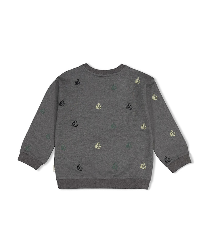 Jongens sweater grijs