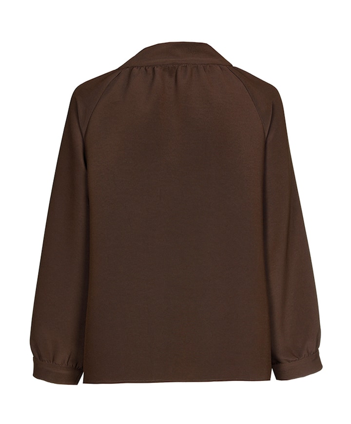 Blouse bruin