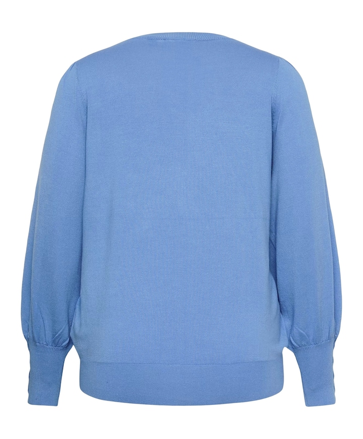 Dames trui blauw