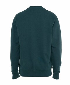 Heren sweater groen