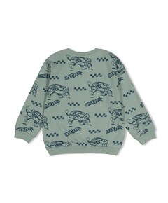 Jongens sweater groen
