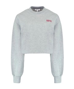 Dames sweater grijs