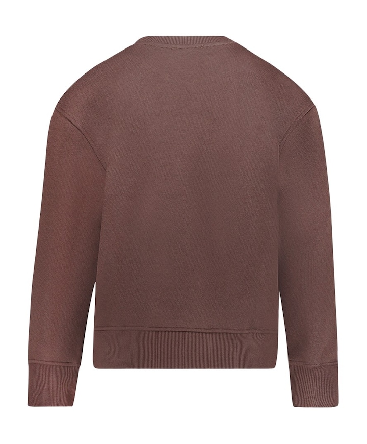 Meisjes sweater bruin