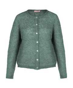 Dames vest groen