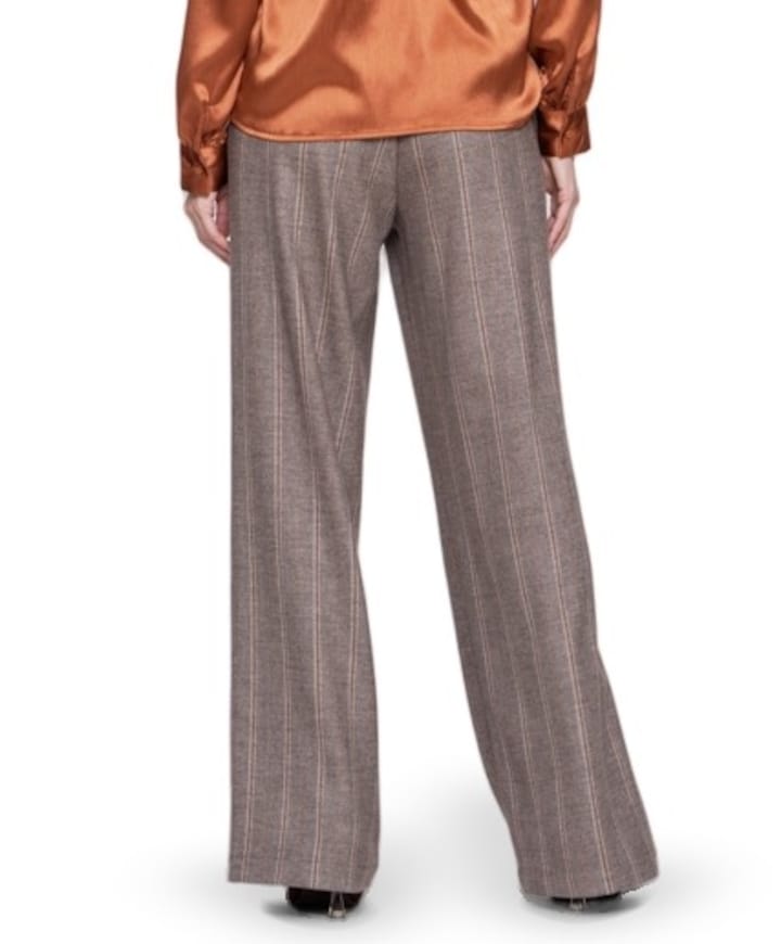 Dames broek bruin