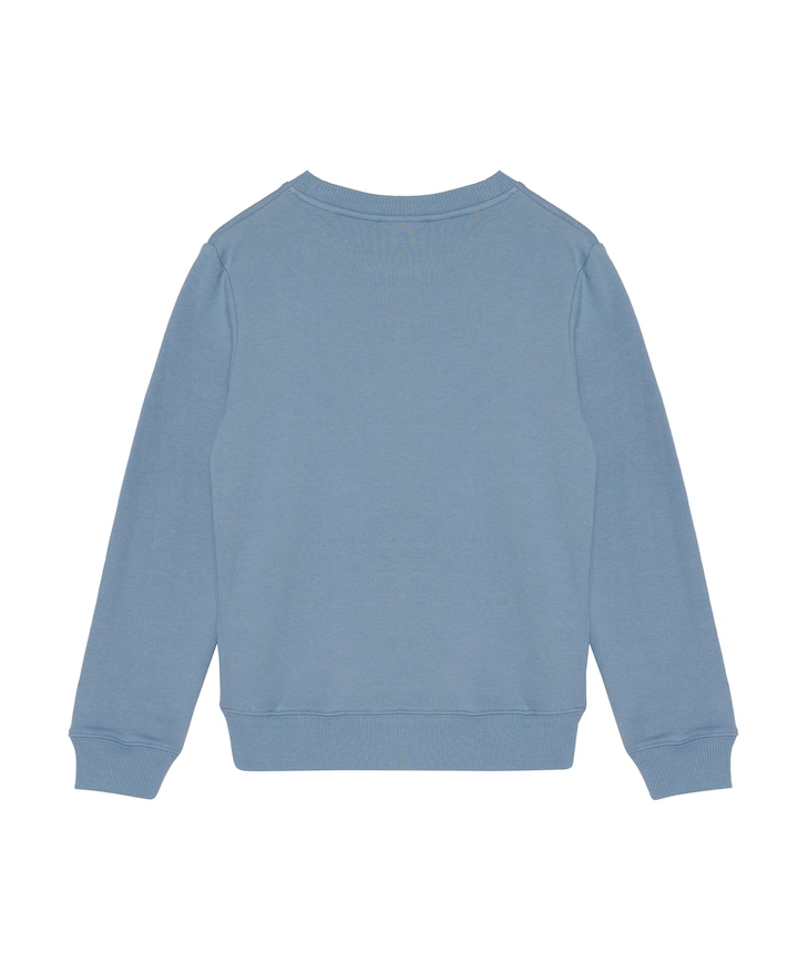 Sweater blauw