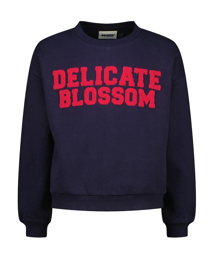 Meisjes sweater blauw