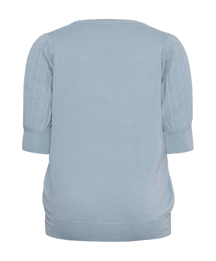 Dames trui blauw