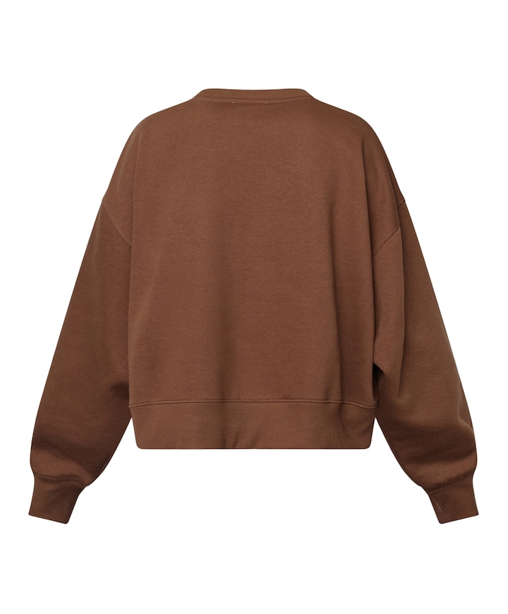 Dames sweater bruin