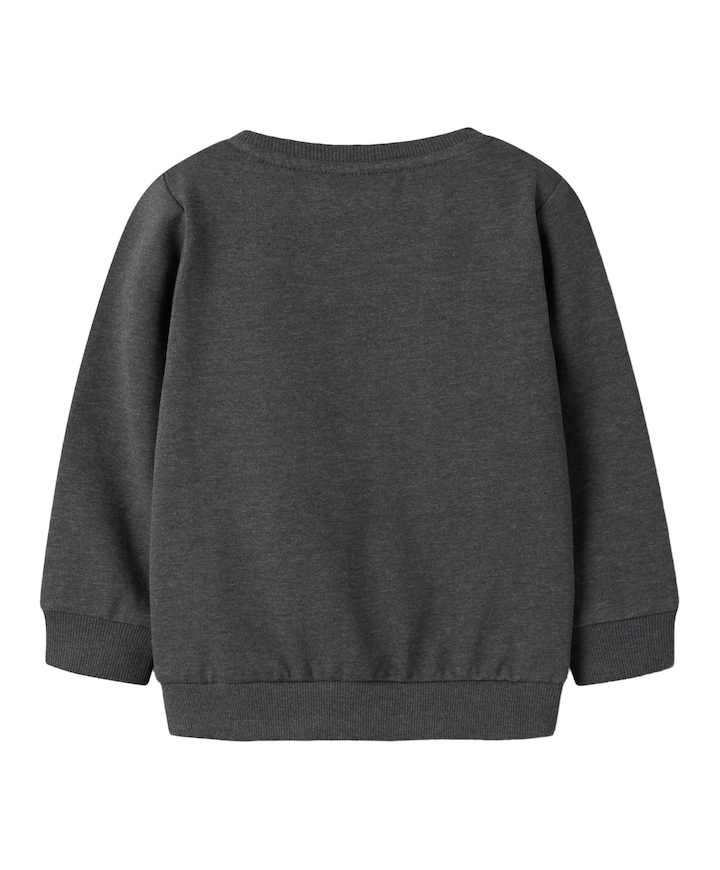 Jongens sweater grijs