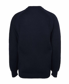 Heren trui blauw