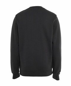 Heren sweater grijs
